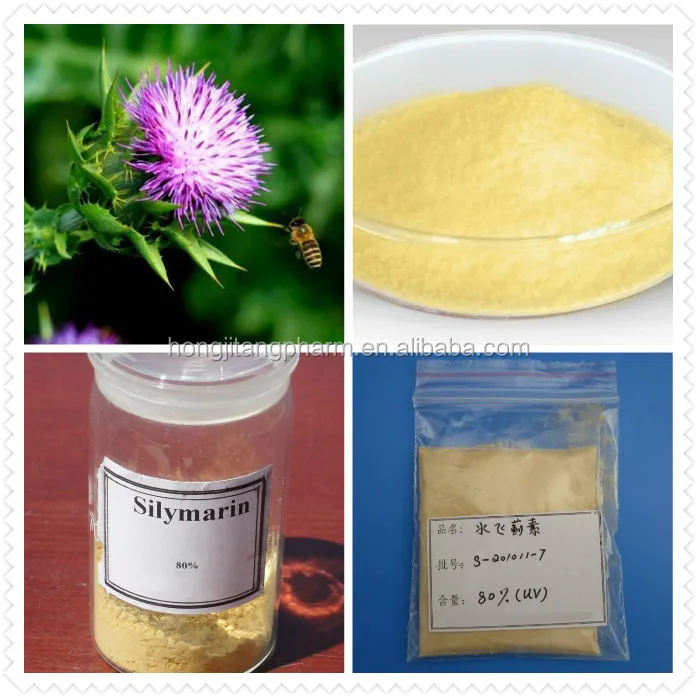 
BEST SELLER High Quality Natual Silymarin Milk Thistle Extract by HPLC Silybin 30%-80%-90% 