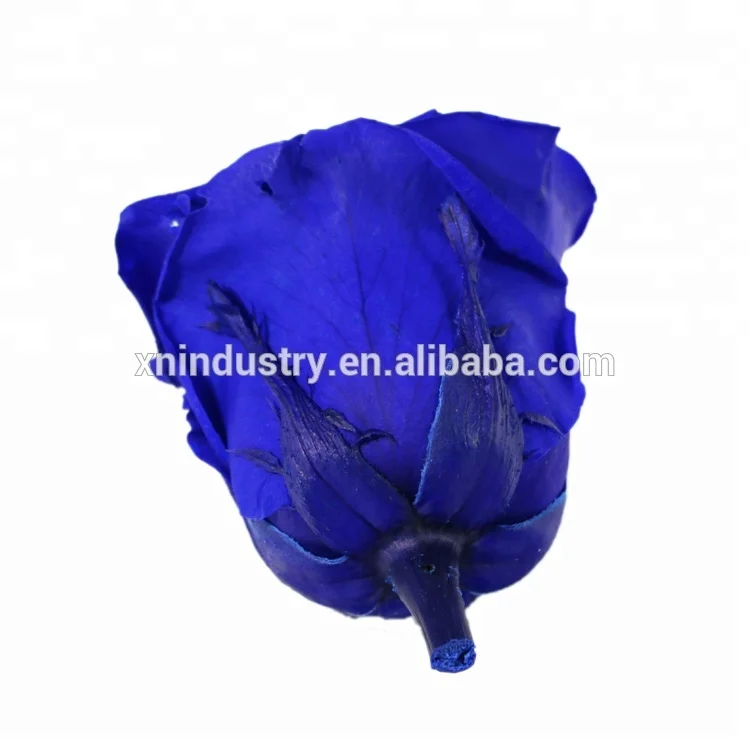 Top Quality preserved rose 4-5 cm blue Roses from Yunnan