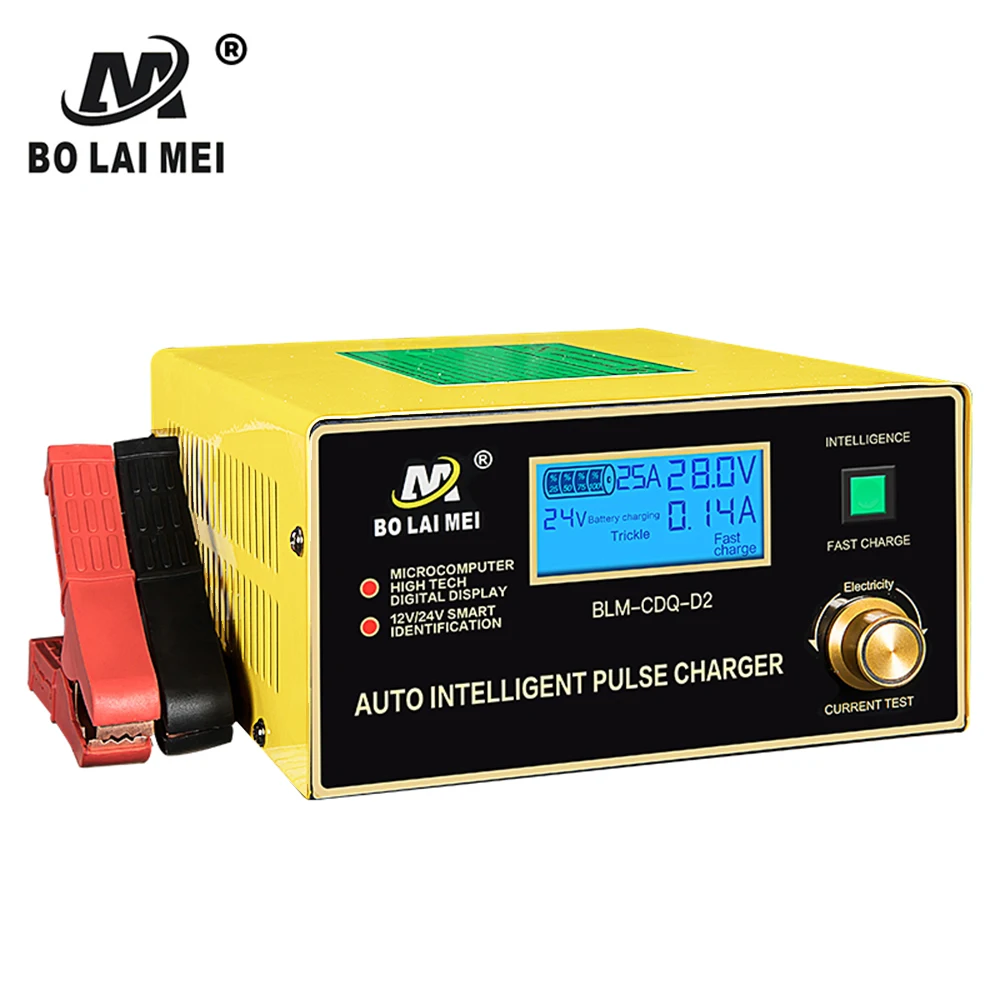 Smart 12v 220v car battery charger dry battery charger for programming