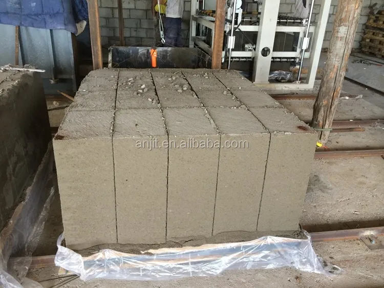 CLC brick manufacturing plant