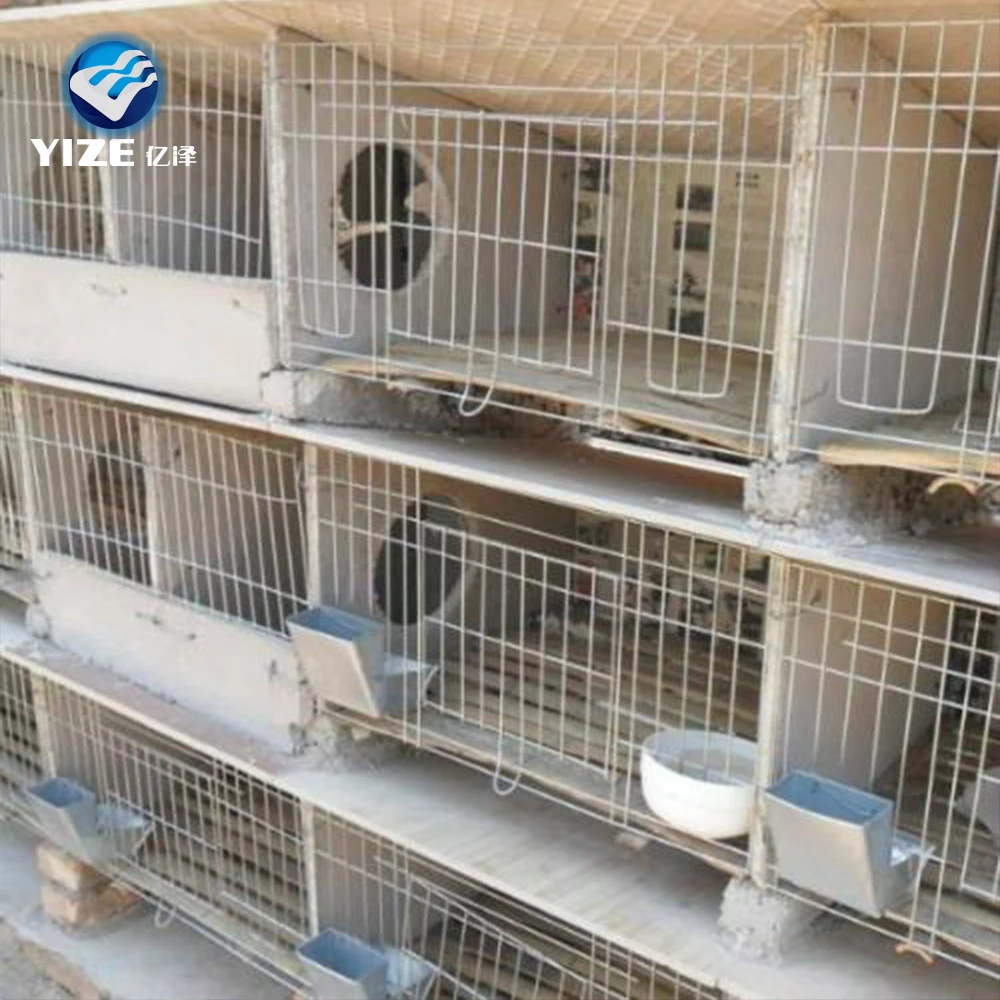 Selling galvanized welded rabbit mesh /rabbit cages indoor (Factory)