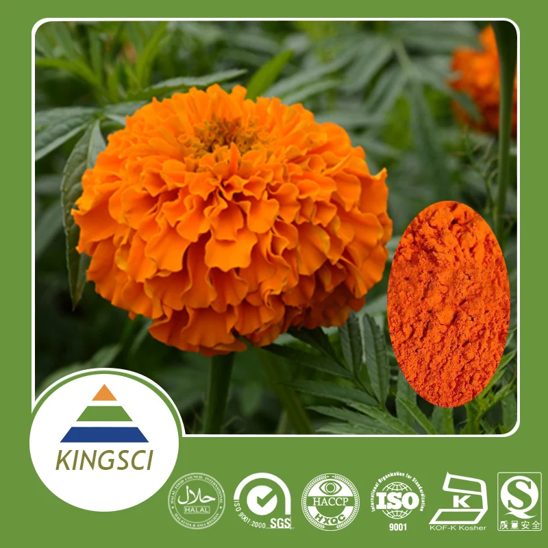 
Marigold Flower Extract Lutein 5% 10% 20% CWS CWD beadlets 