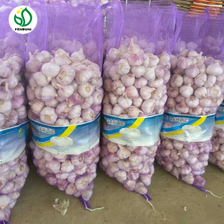 China 2021 New Crop Garlic Supplier for Bangladesh/Pakistan (20kg/bag)