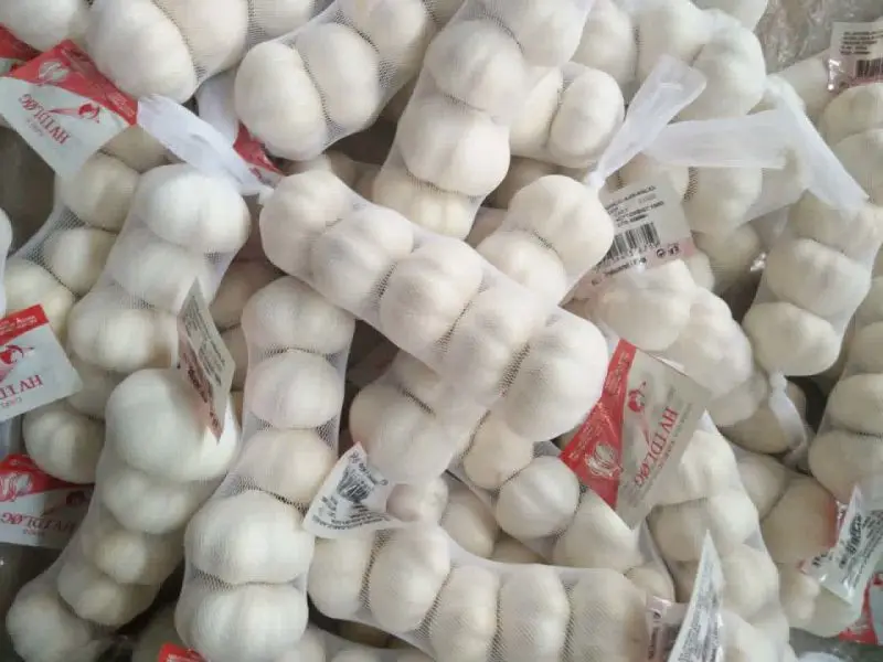 
buy garlic dry garlic wholesale with best price 