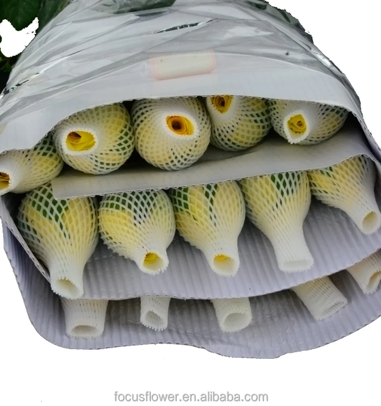 The most popular rose flowers fast delivery for Valentine's Day