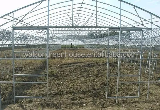 Quality Polyunnel Commercial Modern Display Single-span Glass Greenhouse For Sale