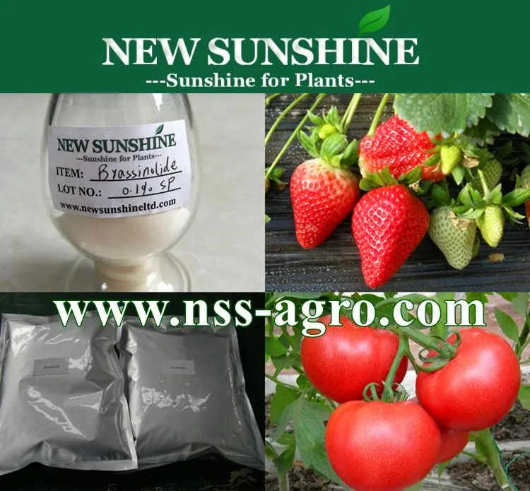 Natural Brassinolide Plant Hormone Brassinolide Agriculture