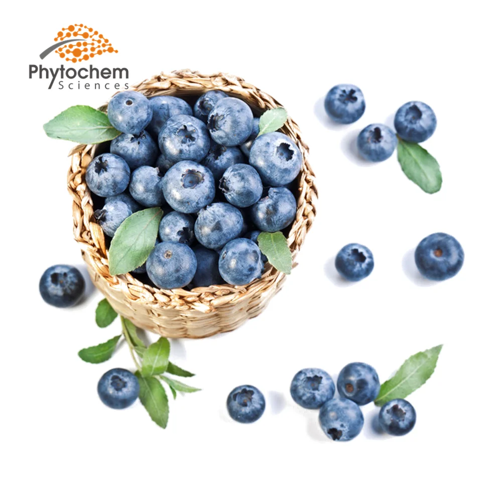 
bulk blue berry fruit Freeze-dried blueberry powder 