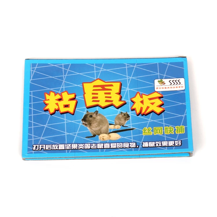 Customize 12 hours rat cockroach & lizard glue trap board