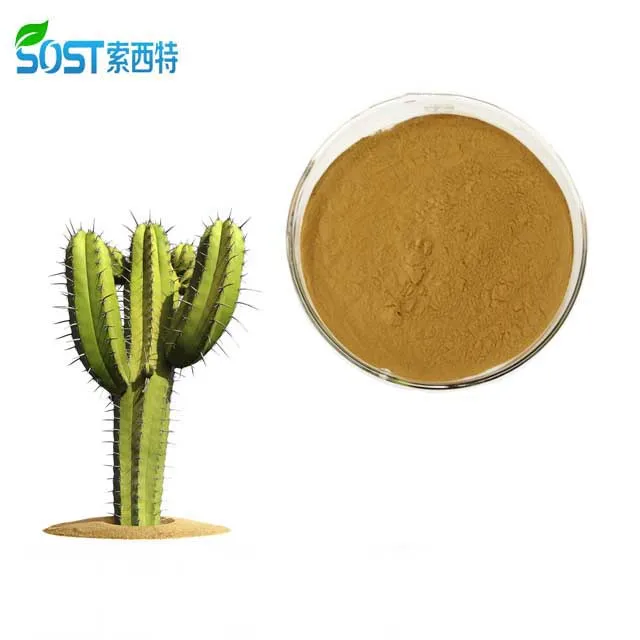 
Wholesale Herbal Prickly Pear Nopal Cactus Powder 