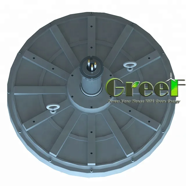 10KW 100RPM 220V 3 phase AC vertical axis PMG