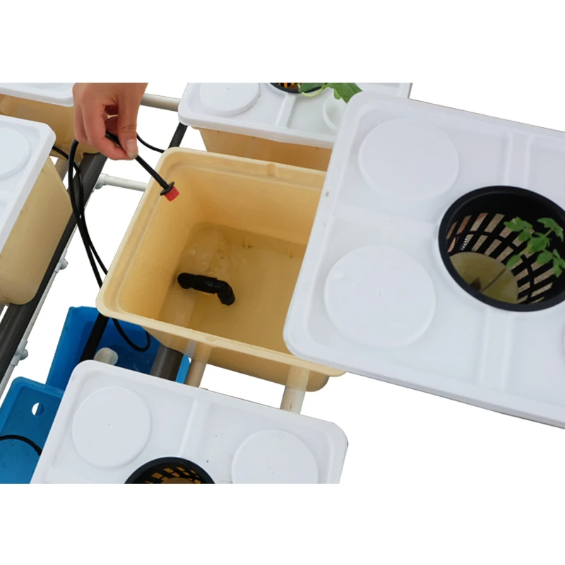 Skyplant indoor home planting Dutch Bucket Hydroponics growing system