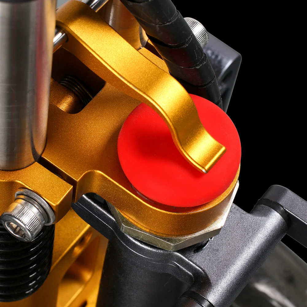 EcoRider E6-7 250W Electric Bike for Adult Electrical Motorcycle City Road Electric Bicycle