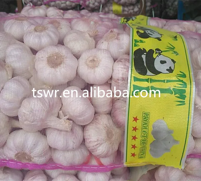 
cold storage garlic high quality garlic 2020 crop 
