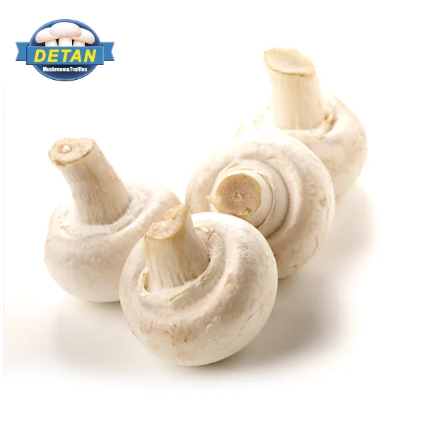 
Detan Fresh AD Champignon Mushroom Price 