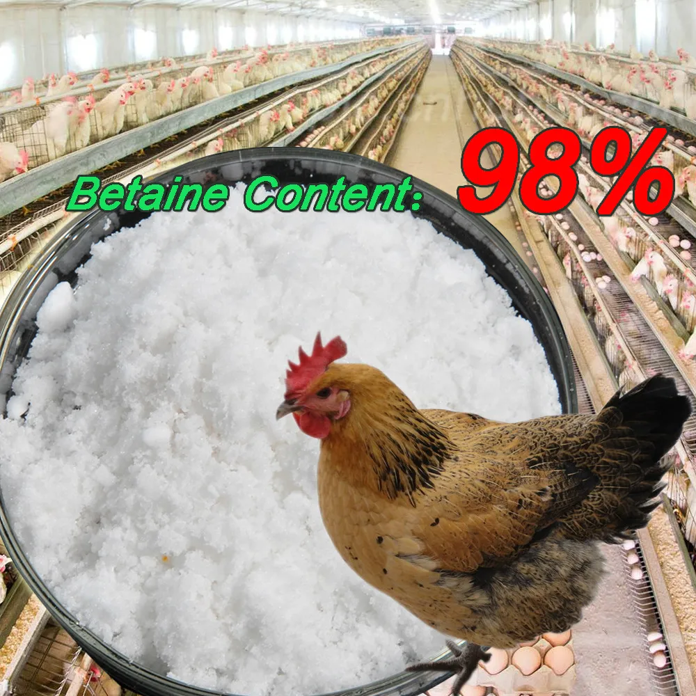 Гидрохлорид Бетаин 98%