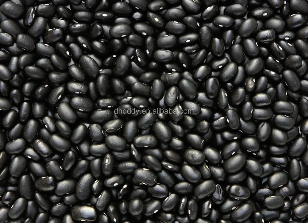 
NEW crop black kidney bean 