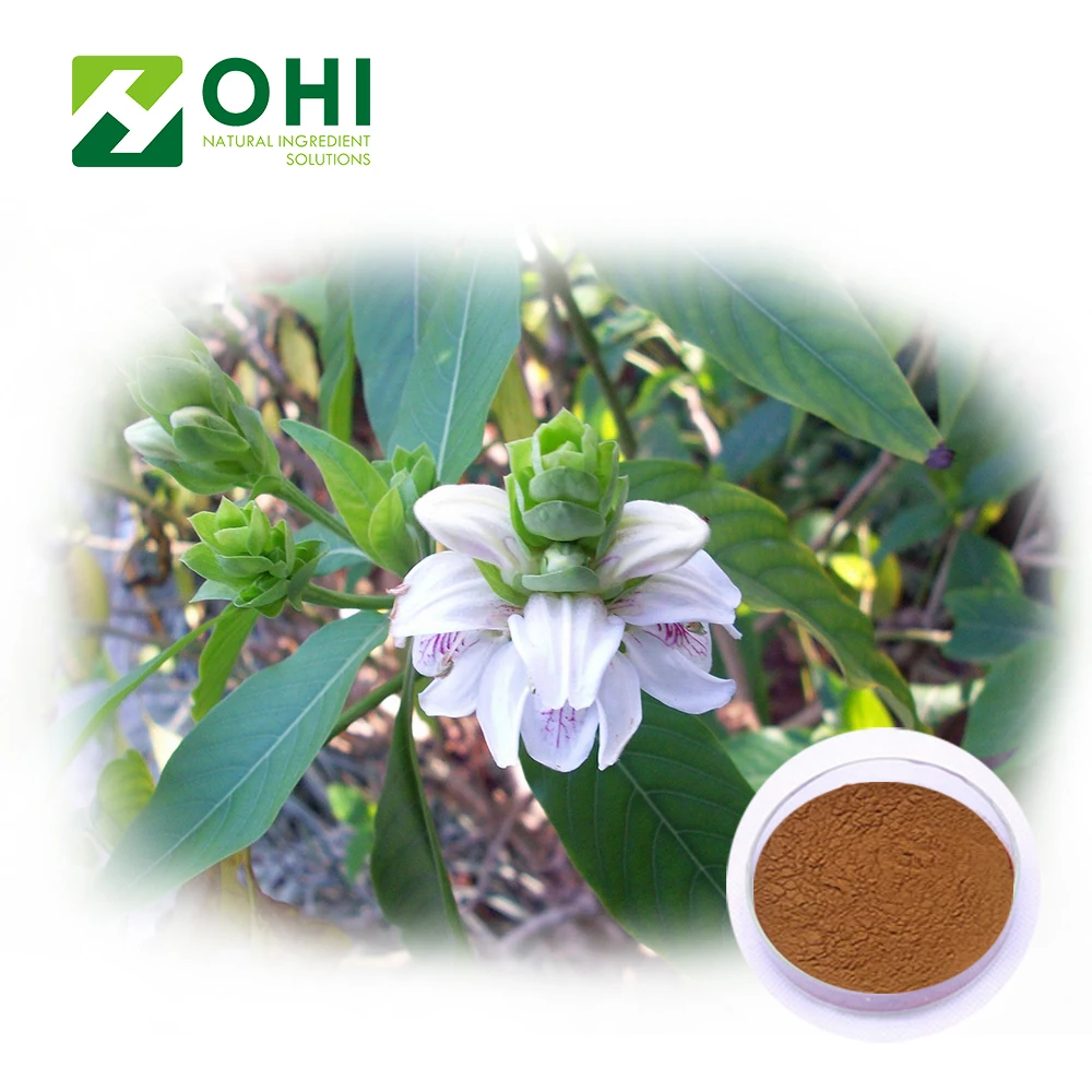 Vasa 98% Vasicine | Adhatoda Vasica Nees extract 10:1