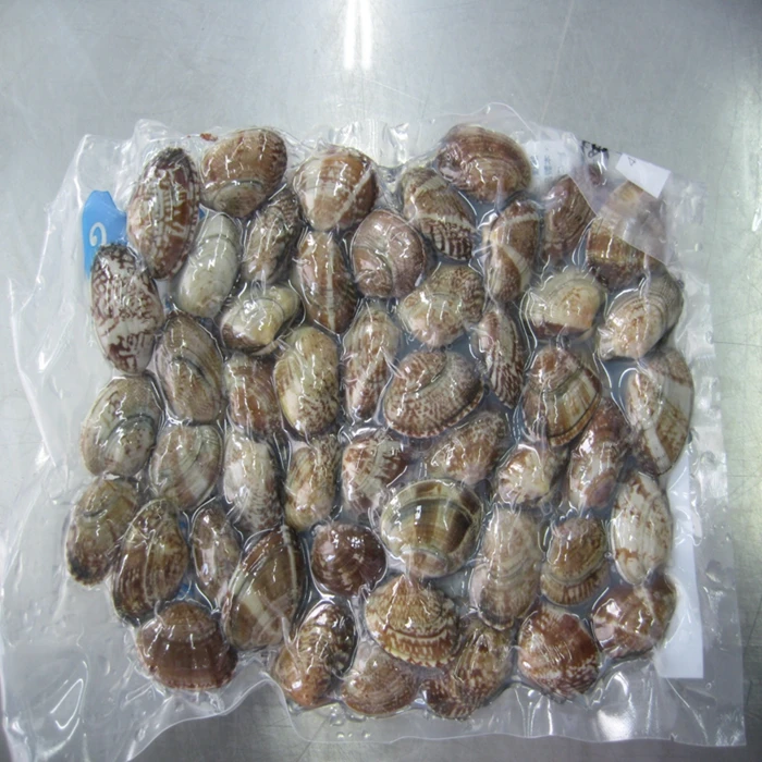 
Frozen short neck clam meat 