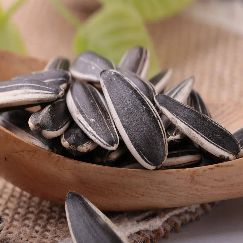2017 Inner mongolia sunflower seeds market cheap price