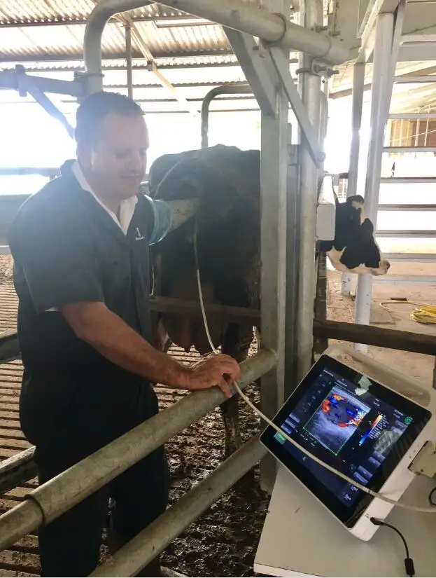 handheld ultrasound device for farm use BestScan S6