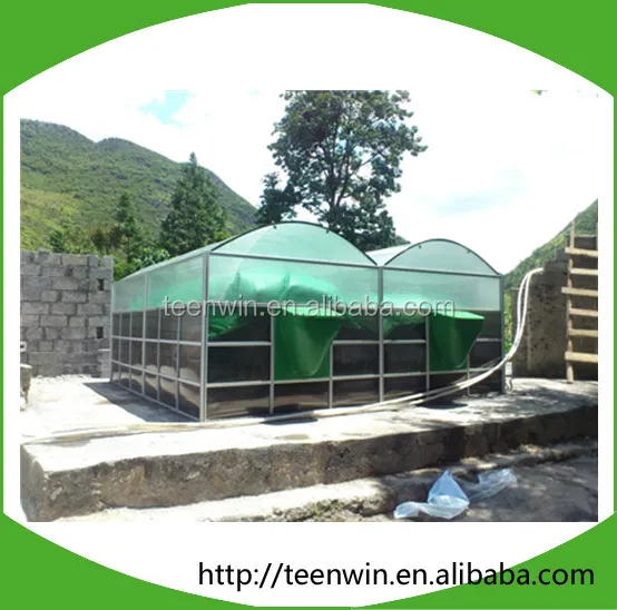Teenwin biogas plant project