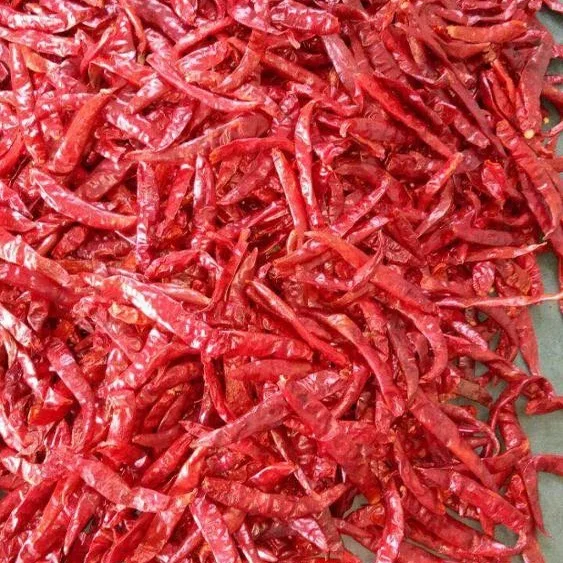 Cayenne Pepper Hot chilli Teja S4 Chilli Teja S17 India Chili Teja S17
