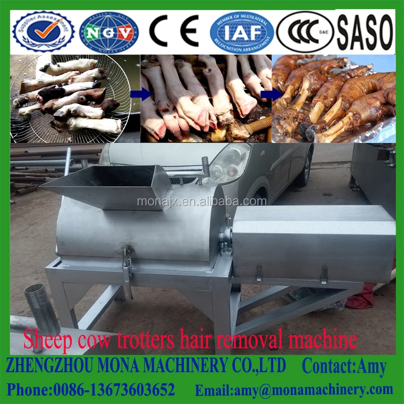 Pig Scalding and De Hairing Combination Machine Cow Pig Sheep Feet Hair Removing Machine Price in South Africa