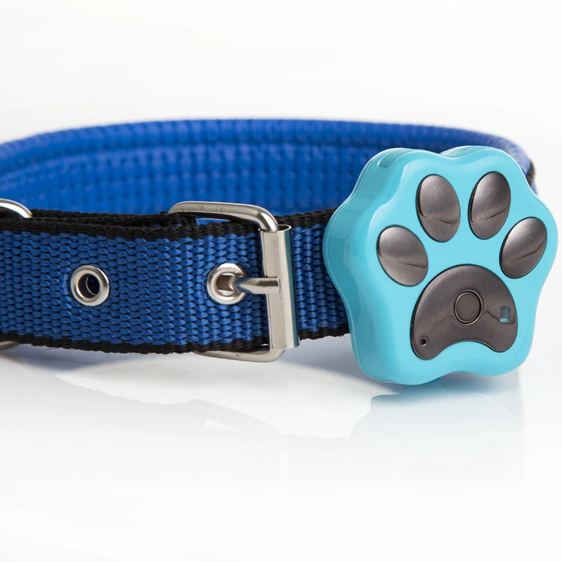 Лучшие мировые продажи продукции мини-водонепроницаемый gps ошейник-трекер google play store скачать приложение