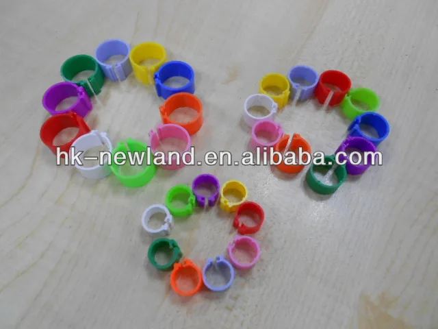 NL621top selling pet products colorful number pigeon rings