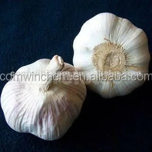 
100% Pure Garlic Extract Garlic Allicin Powder 