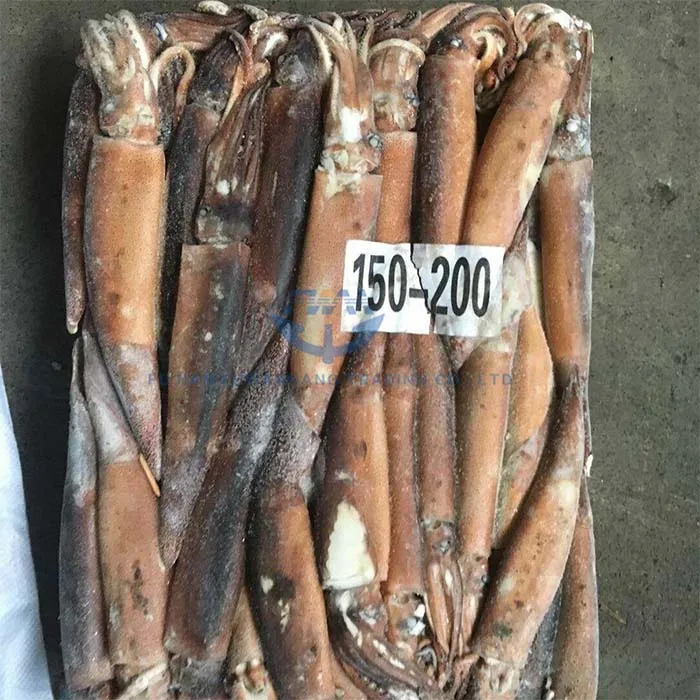 Замороженный кальмар по оптовой цене, замороженный кальмар Illex, морская еда