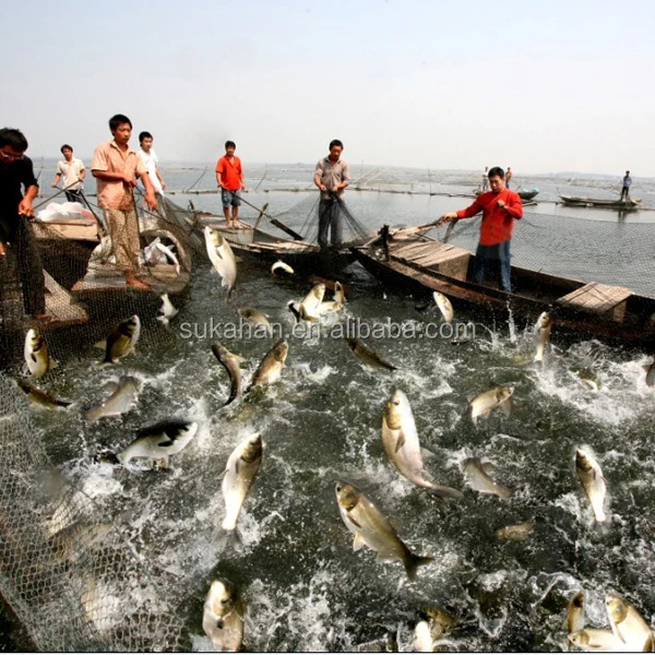 
healthy safe probiotics for shrimp / fish aquaculture probiotics with good quality 