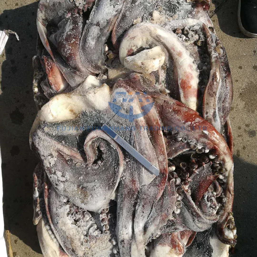 
best seller seafood BQF Frozen Peru Squid Tentacle 