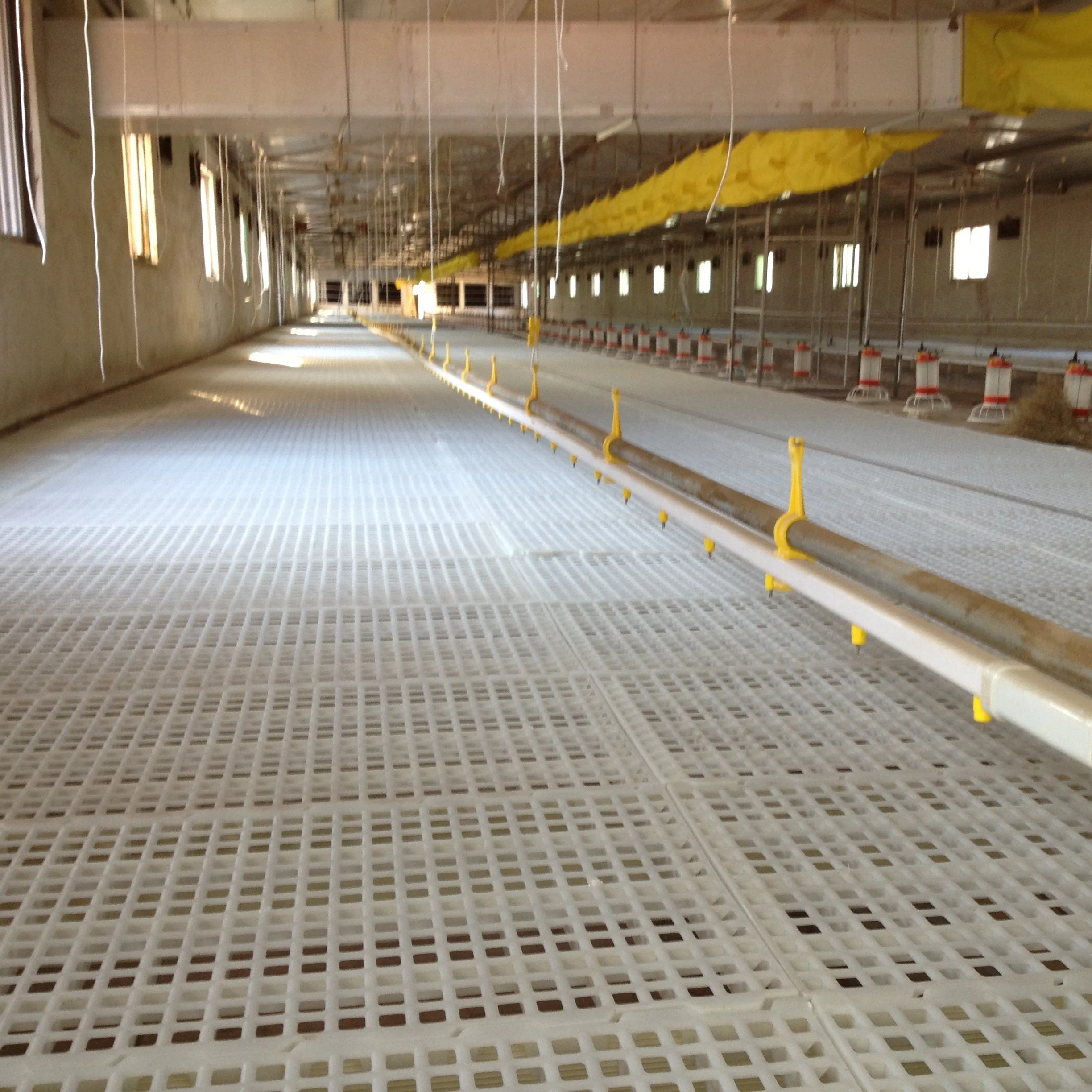 high quality virgin material  poultry farm plastic slat floor chicken farming equipment