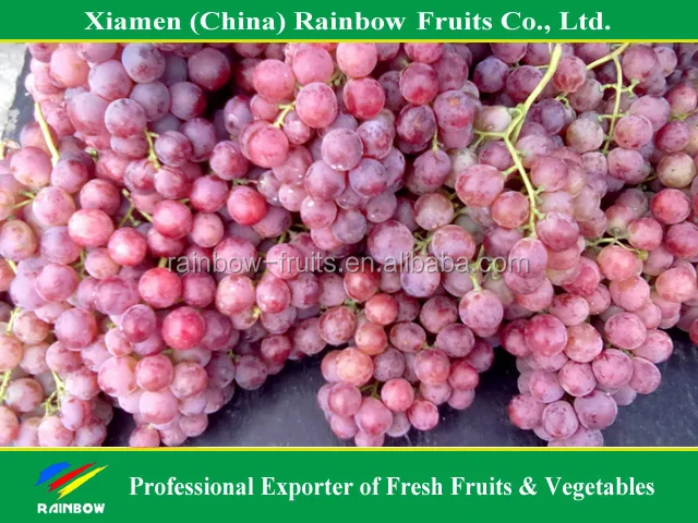
Fresh Chinese Red Grape for Indonesia & Malaysia & Pilipina & Thailand market 