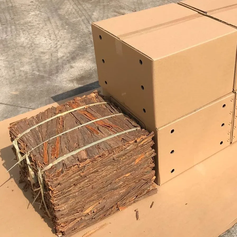 
Chinese cinnamon 2020 crop 