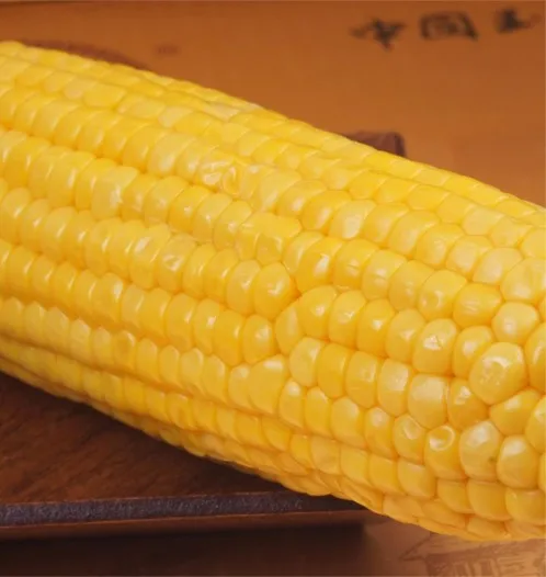 China OEM supplier Wholesale High quality soft sweet corn