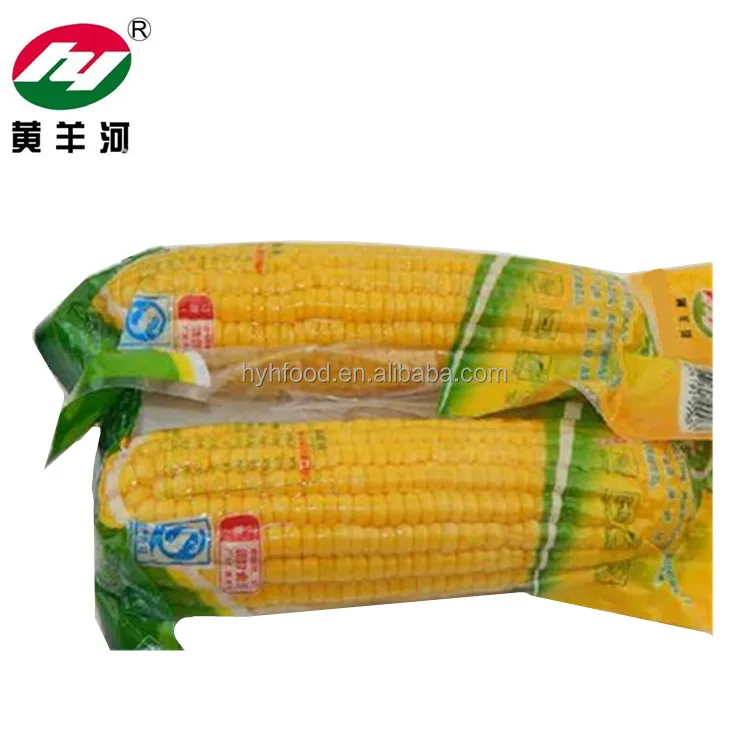 
Vacuumed Corn Sweet Fresh Corn Factory Supply 