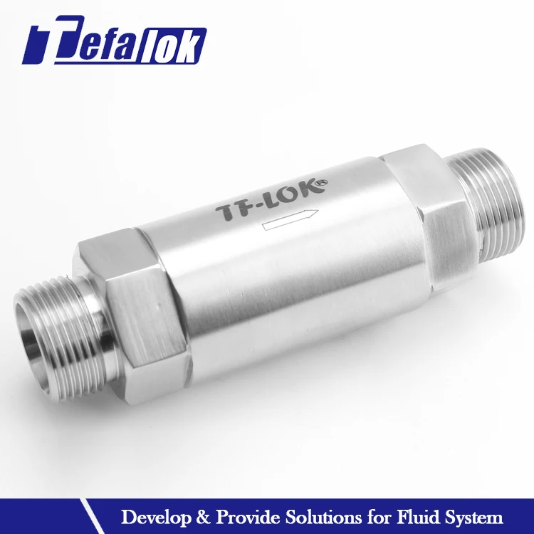 ss spring non return fuel check valve