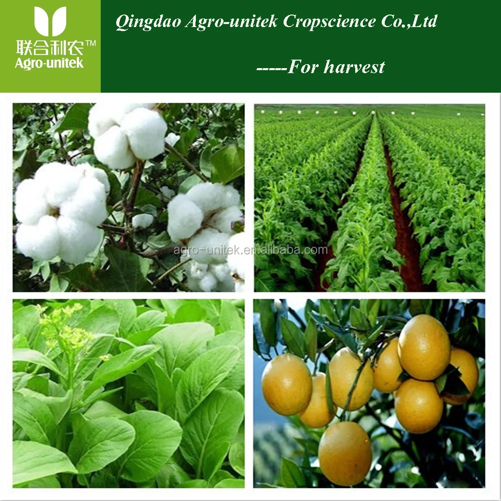 50% WP карбендазим фунгицидные семена фунгицидная почва