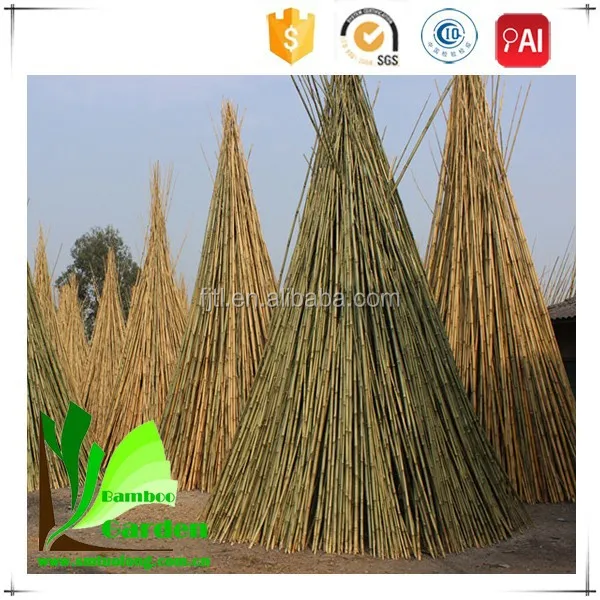 Tonkin Bamboo Canes Bamboo Cane Prices