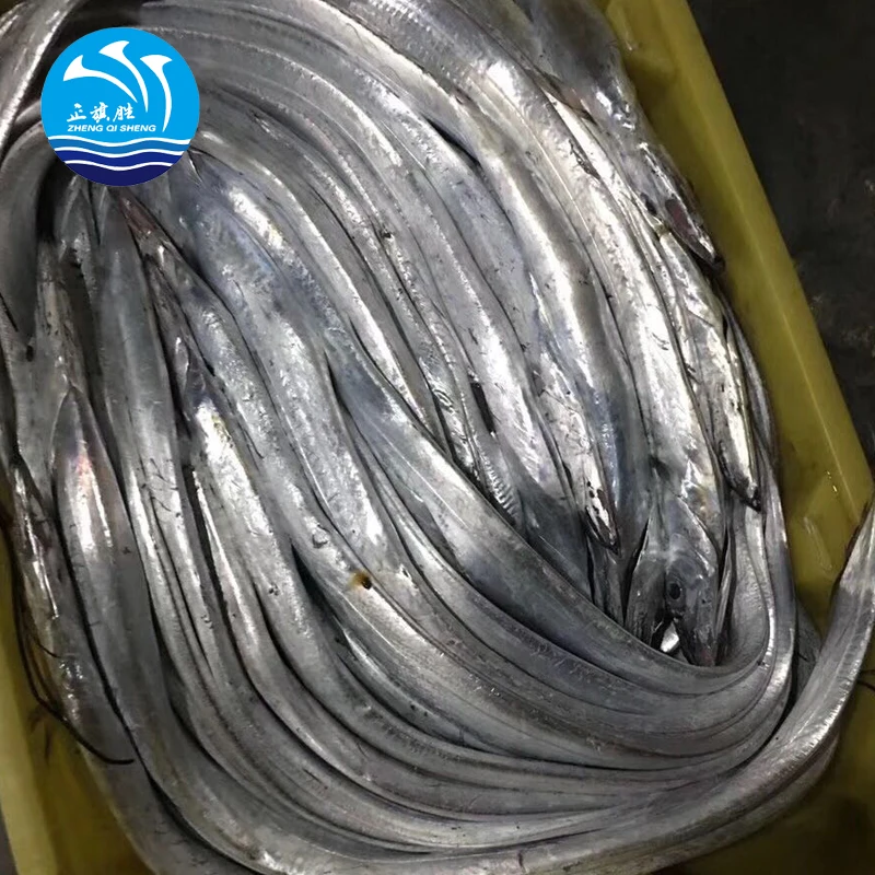 BQF Frozen fresh whole round ribbon fish for sale