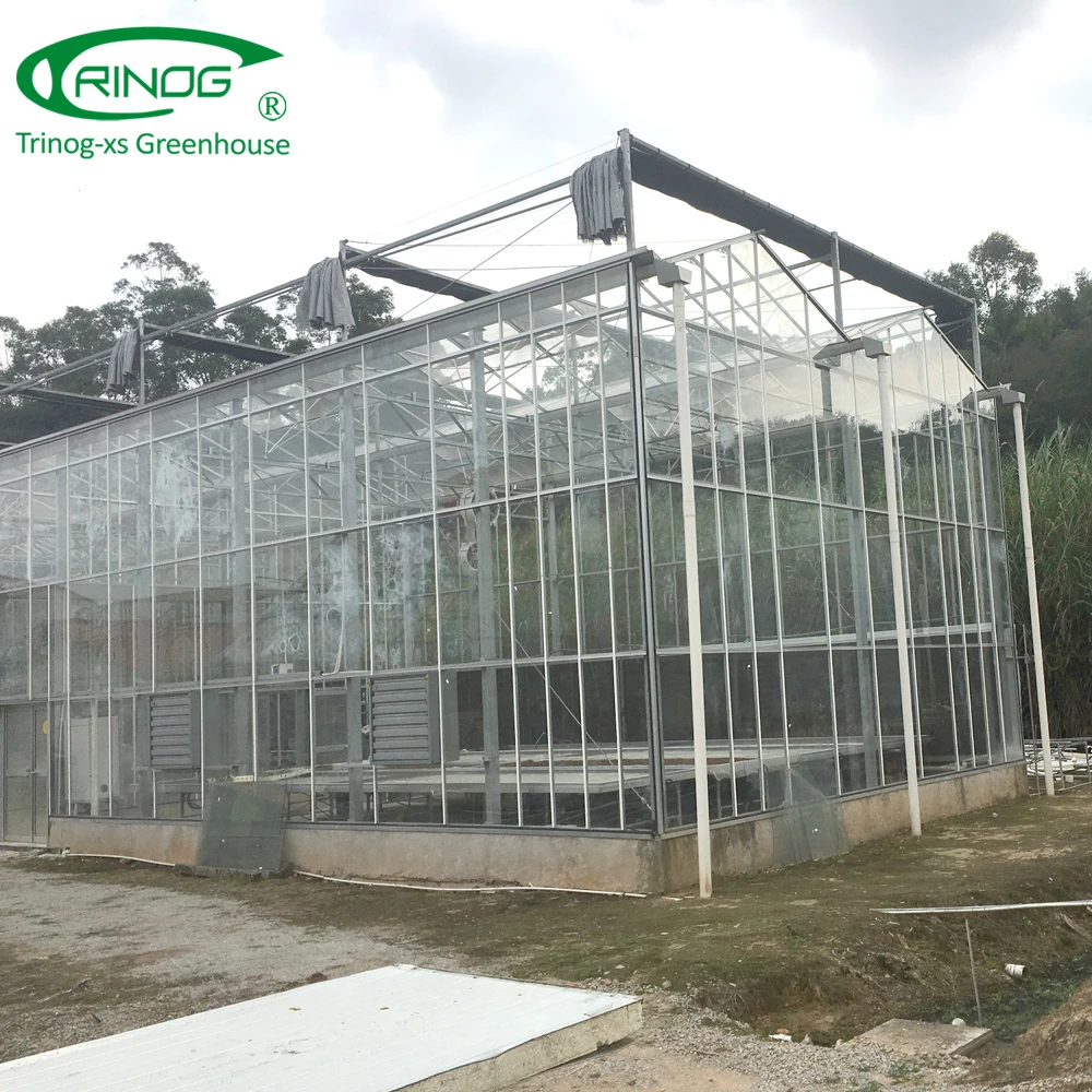 Dutch type glass covered greenhouse hydroponics system for vegetable