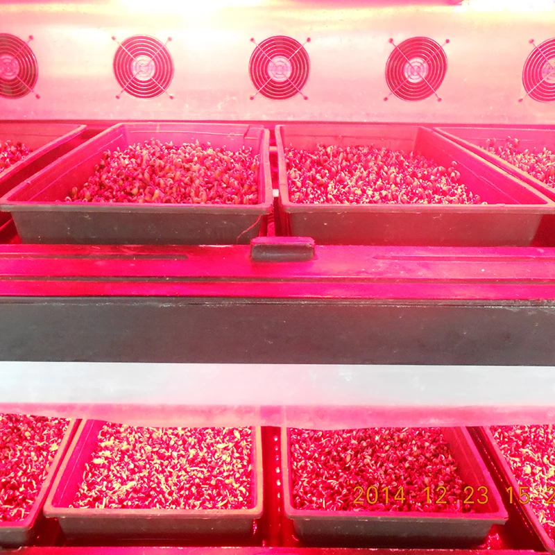 Environment-Friendly Controllable Greenhouse Hydroponics