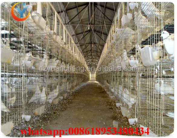 chicken cage quail cage design pigeon coops pigeon breeding cage for sale