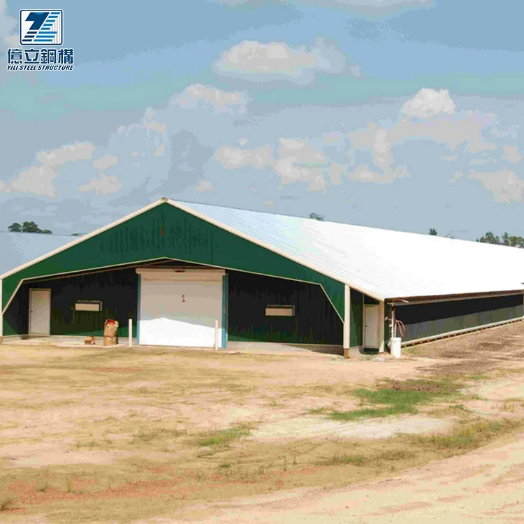 Профессиональный сборный стальной каркас для птицеводства, конструкция курятника для слоев