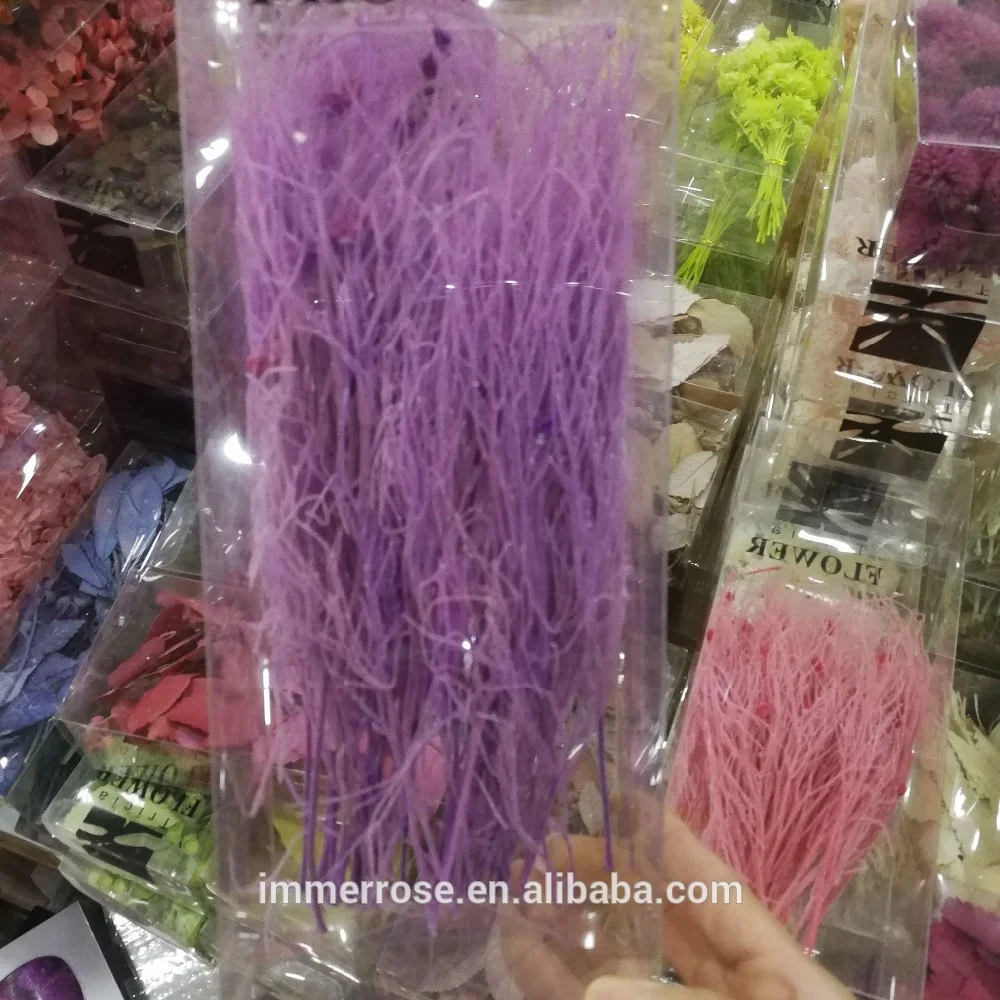 
preserved Juncus Effusus bunch flowers real dry flowers 