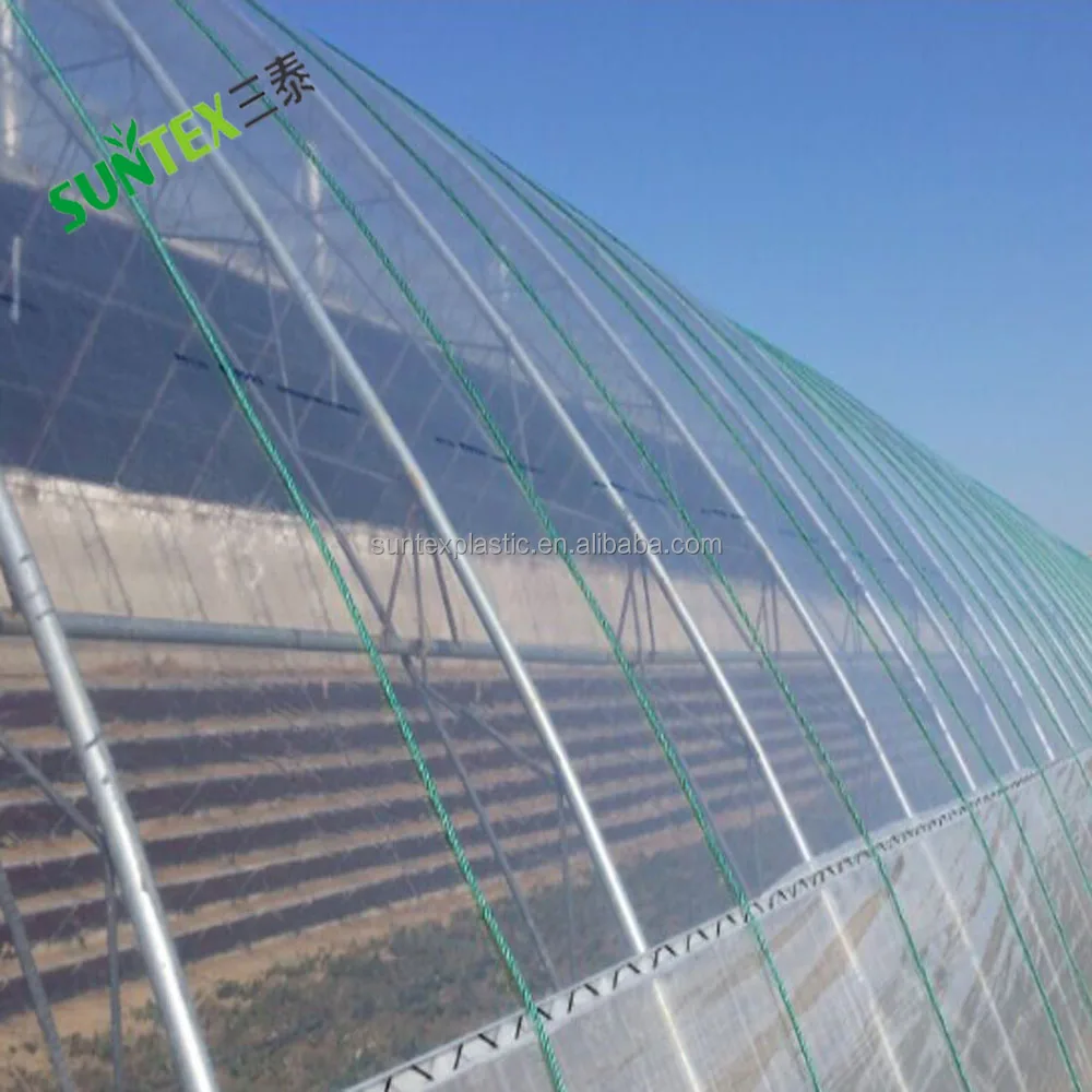 8 мил УФ зеленая пленка для дома, прозрачная полимембрана по индивидуальному размеру, защищающая от дождя лист винограда