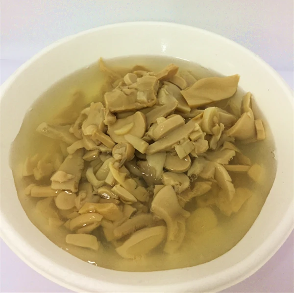 
canned food list of cannde mushroom debris 